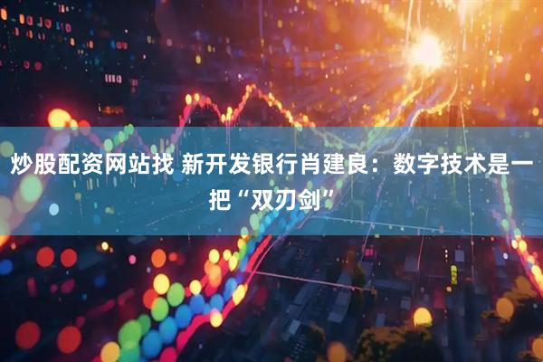 炒股配资网站找 新开发银行肖建良：数字技术是一把“双刃剑”