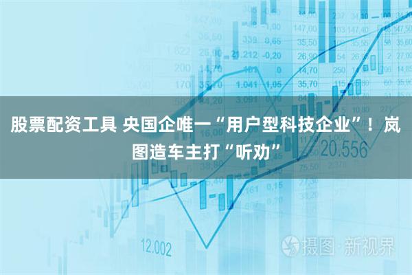 股票配资工具 央国企唯一“用户型科技企业”！岚图造车主打“听劝”