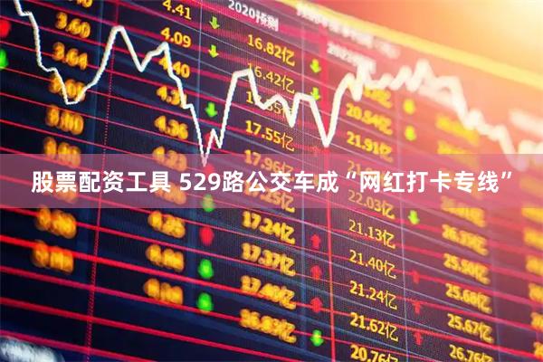 股票配资工具 529路公交车成“网红打卡专线”